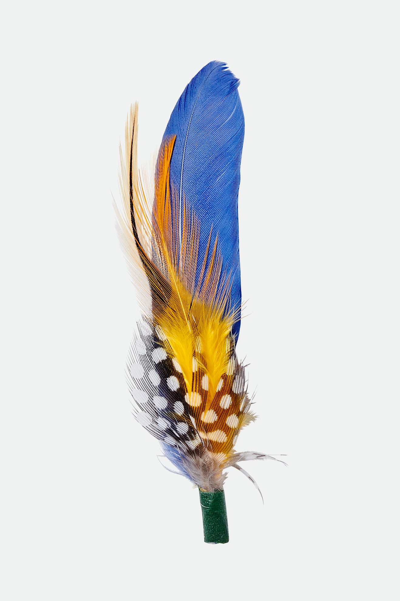 Multicolor Unisex Brixton Keith Hat Feather Accessories | 895302-XEA